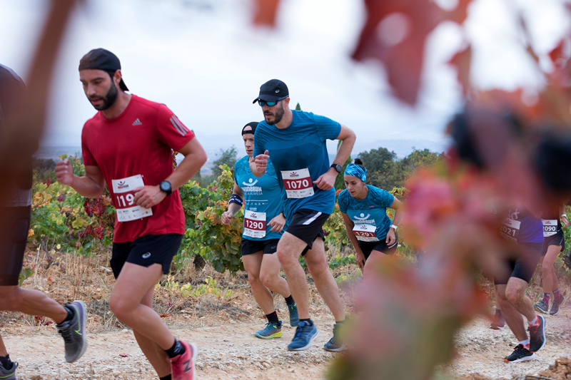 Imagen de la 
                        noticia:  Wine Run Rioja Alavesa 2025: Información Carreras