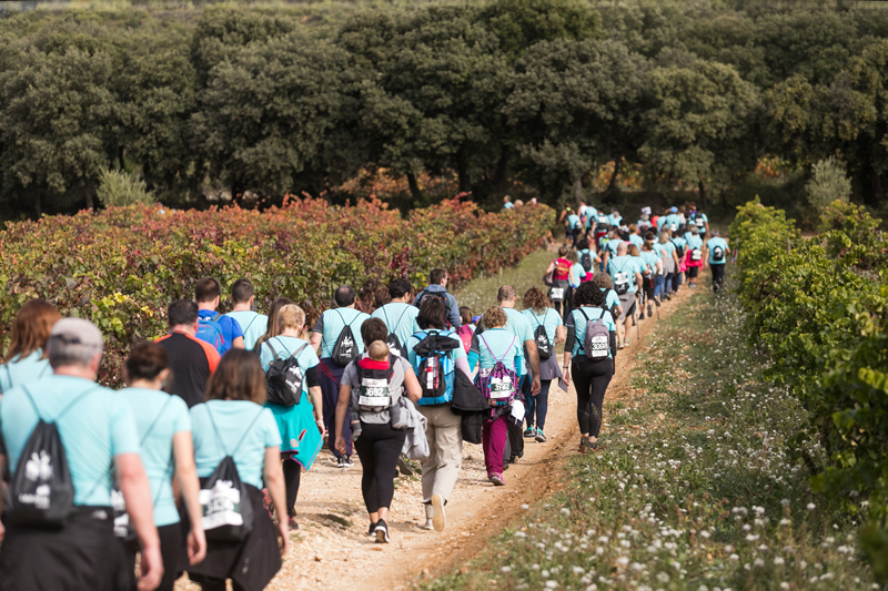 Imagen de la 
                        noticia: Wine Run Rioja Alavesa 2025: Información Marcha Popular