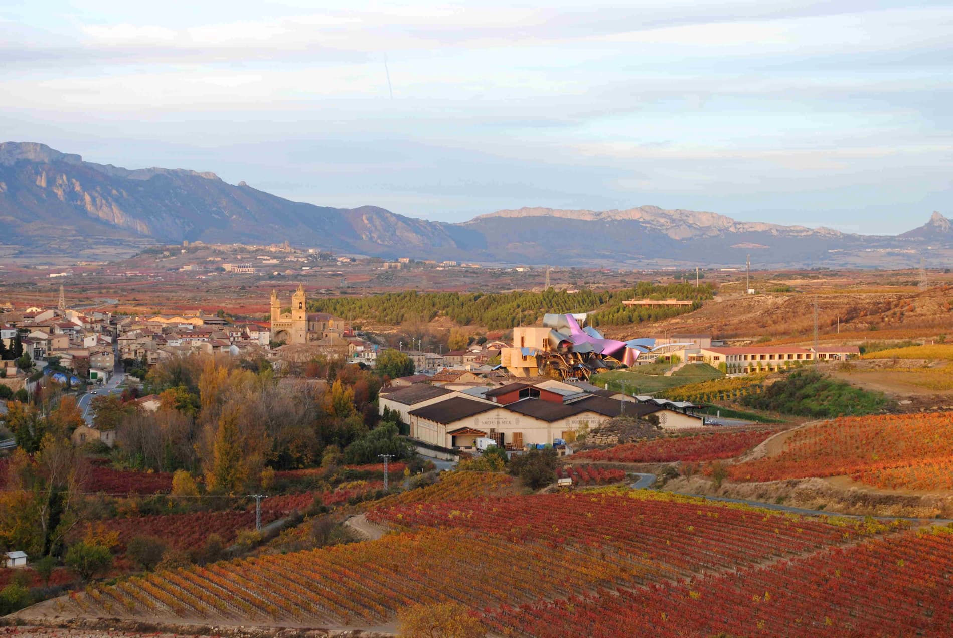 Bodegas