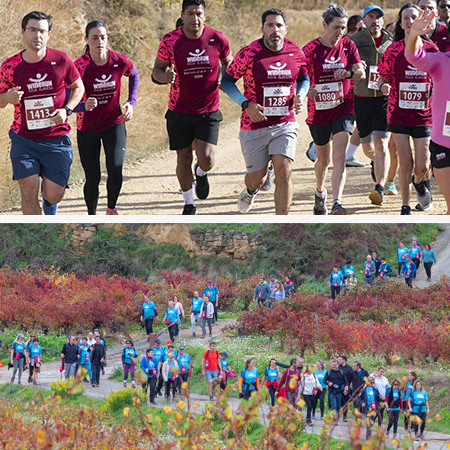 Wine Run Rioja Alavesa 2026