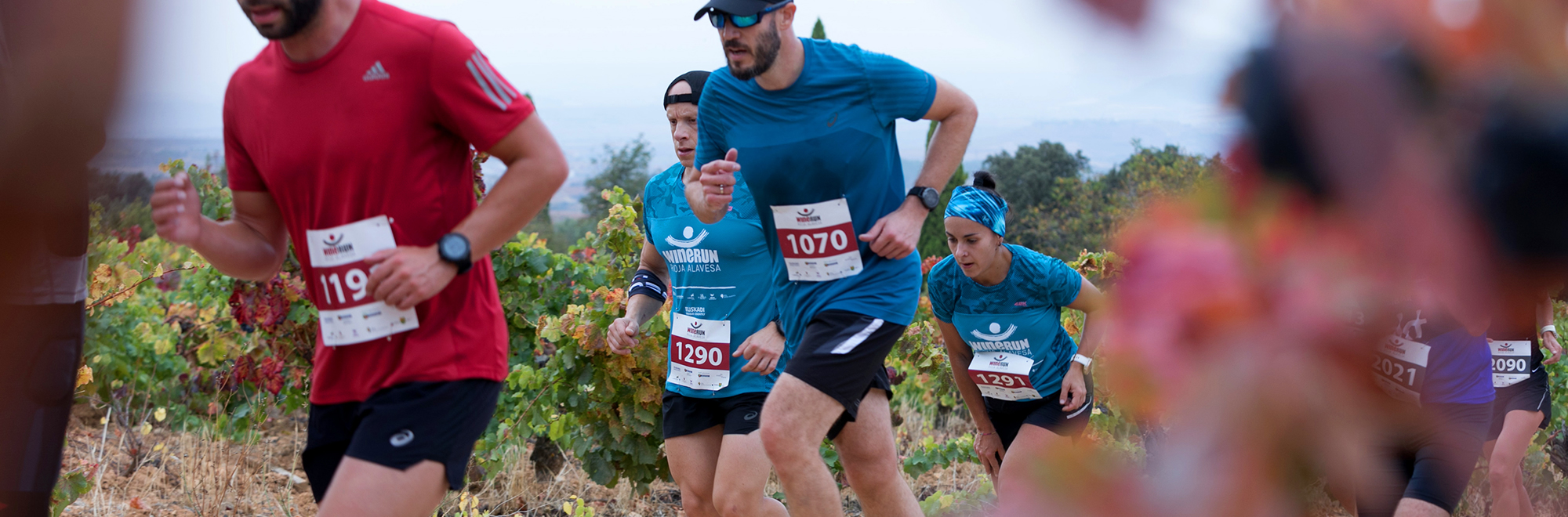 Wine Run Rioja Alavesa 2025: Información Carreras