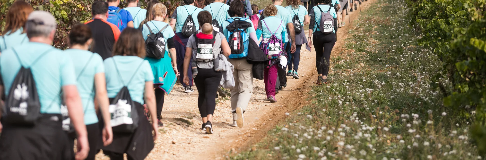 Wine Run Rioja Alavesa 2025: Información Marcha Popular