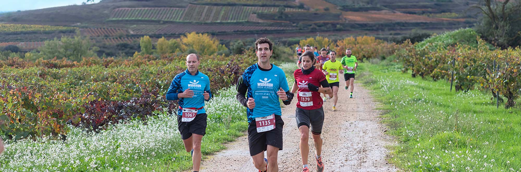 20 km
