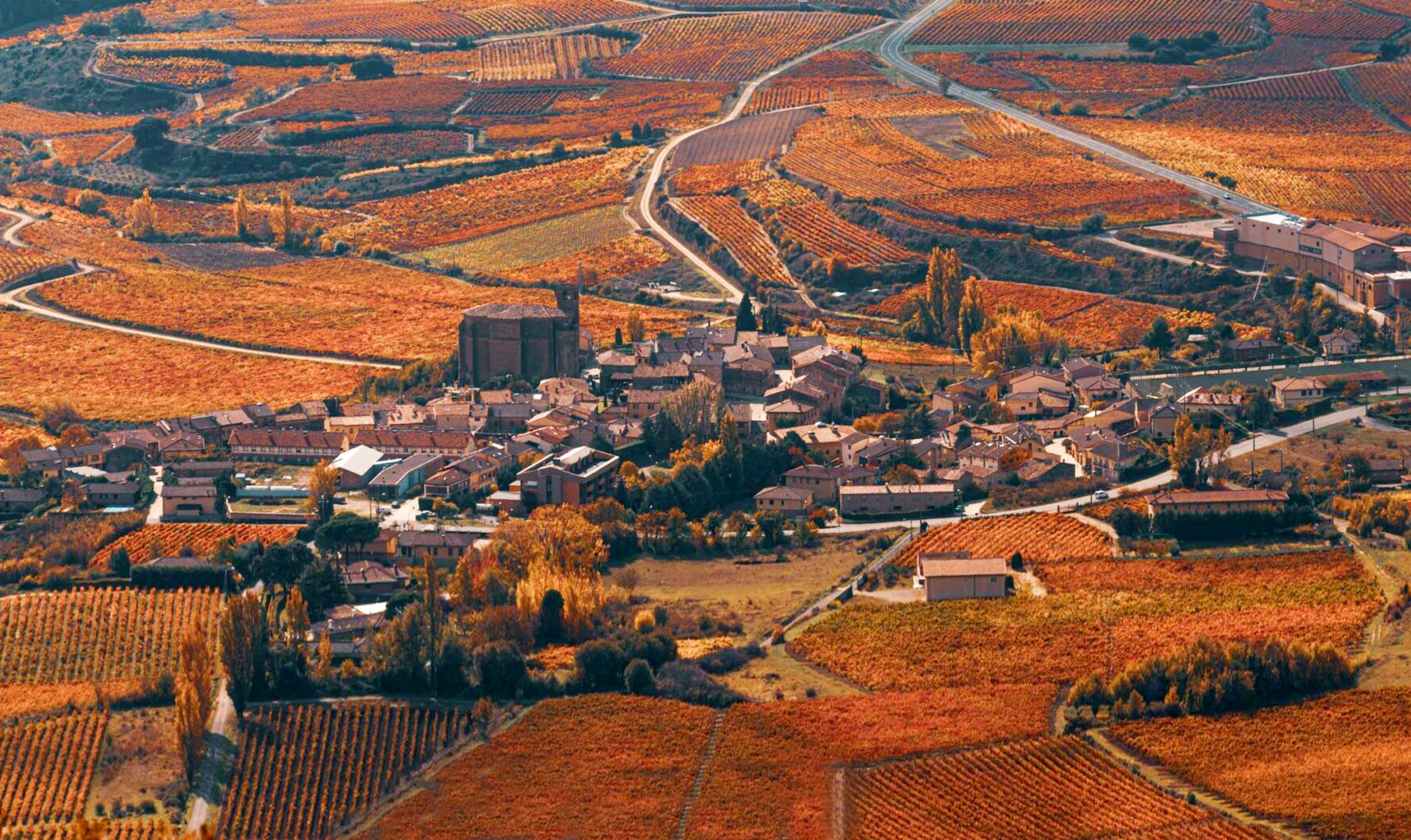 Samaniego toma el testigo como nueva sede de la Rioja Alavesa Wine Run 2026