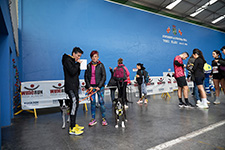 Wine Run Rioja Alavesa